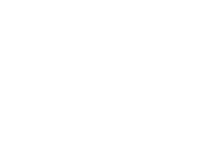 The Good Stuff Vintage Shop